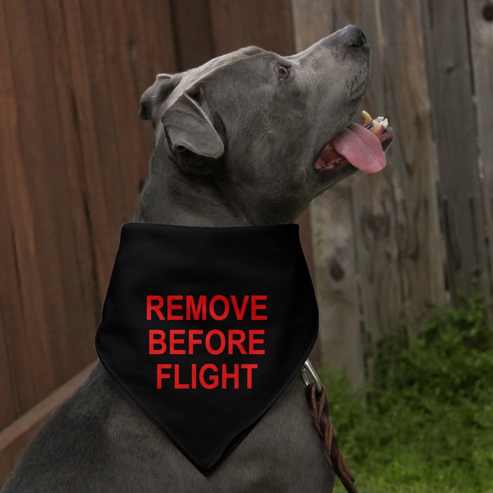 Remove Before Flight Airplane Warning Dog Pet Bandana